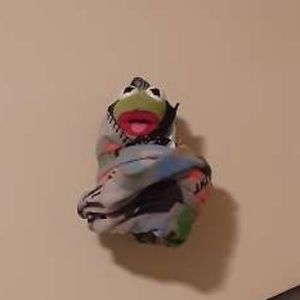 Meet your Posher, Trinity